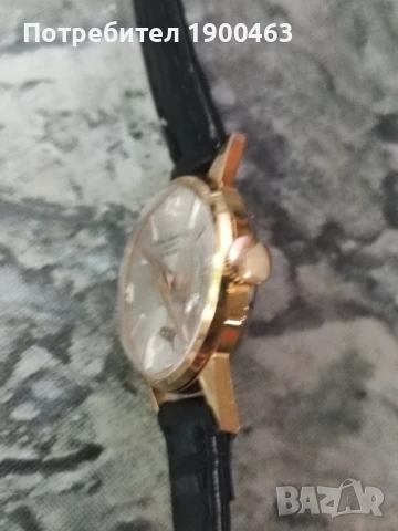 Paul Arpantier.Geneva .incabloc.17 Rubis., снимка 13 - Дамски - 51273566