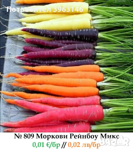 Семена за Стотинки, снимка 7 - Сортови семена и луковици - 52838410