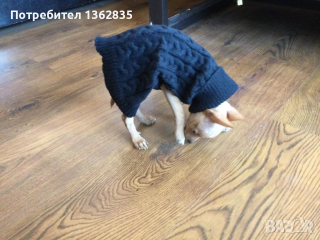 НОВ топъл черен зимен луксозен пуловер за куче от Италия S и M размер, снимка 4 - За кучета - 51972355