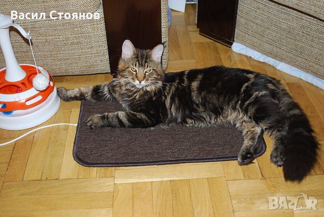 Нагревателни килимчета за домашни любимци Арно, снимка 5 - Други стоки за животни - 27303419