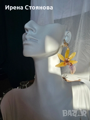 Обеци с естествен цвят на орхидея Камбриа, снимка 9 - Обеци - 52364889