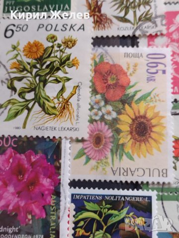 Пощенски марки смесени ЦВЕТЯ от цял свят перфектно състояние за КОЛЕКЦИЯ 22632, снимка 13 - Филателия - 40364561