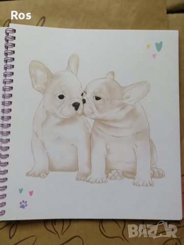Top Model Dogs, снимка 2 - Рисуване и оцветяване - 37819242
