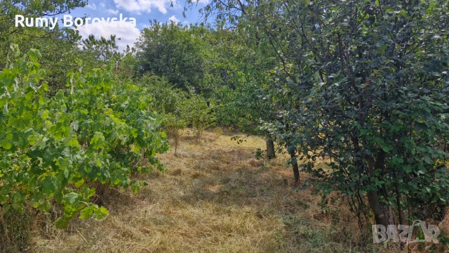 Къща с голям двор, работилница и гараж в гр. Омуртаг, снимка 9 - Къщи - 51324233