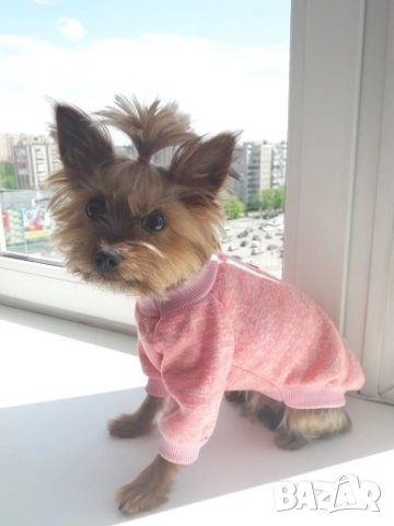 Пуловер за куче. Дрехи за кучета. Блузка за куче. Кучешки дрехи. Дрехи за малки кучета. , снимка 13 - За кучета - 26907168