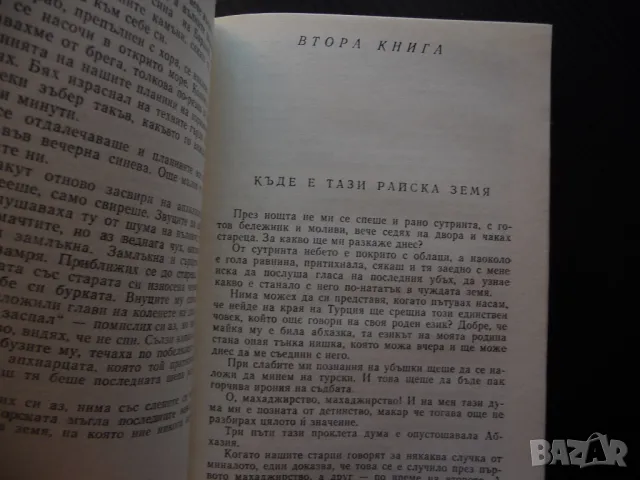 Последният от изчезналите Баграт Шинкуба евтина книга 0.30лв,, снимка 3 - Художествена литература - 49817315