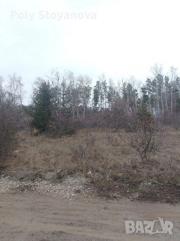 Продажба , снимка 9 - Парцели - 52964958