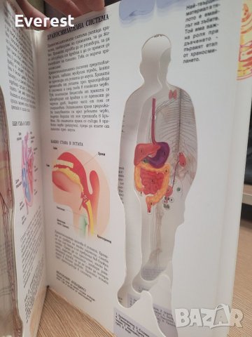 Човешкото тяло," прозрачна " енциклопедия от 1993 г., снимка 6 - Енциклопедии, справочници - 39007785