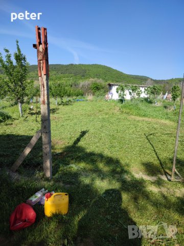 Овощна градина , снимка 12 - Земеделска земя - 38065060