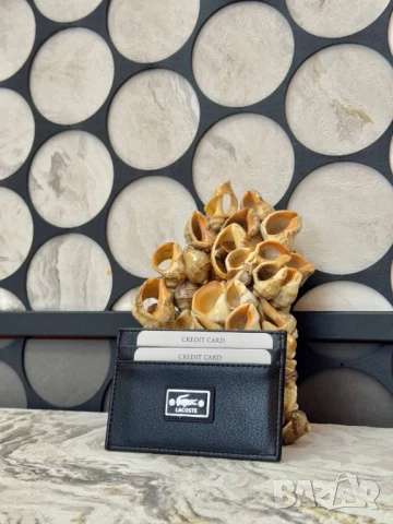 визитници chloe Moncler coach fendi louis vuitton , снимка 4 - Портфейли, портмонета - 51080463