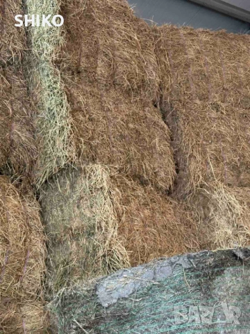 Люцерна на бали, снимка 3 - За селскостопански - 53581645