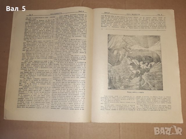 Вестник, списание ИЗ ЖИВОТА Царство България 1908 г 4 броя, снимка 7 - Списания и комикси - 36970068