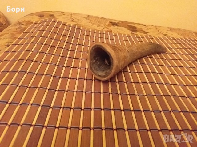 Рог от бик, снимка 2 - Други ценни предмети - 28989553