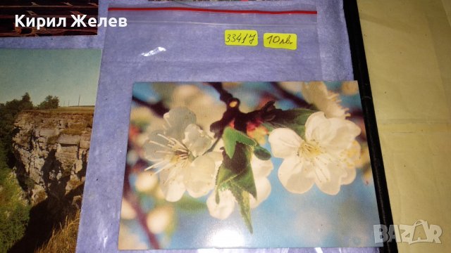 ЛОТ 4 РЕДКИ СТАРИ ПОЩЕНСКИ КАРТИЧКИ ТЕМА ДИВА ПРИРОДА ФЛОРА ПАМЕТНИК СССР 33417, снимка 2 - Филателия - 38790415