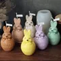 3D заек зайче в черупка от яйце "Happy Easter" Силиконов молд за свещи гипс сапун , снимка 3