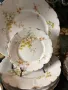 120 годишен Rosenthal Iris- сервиз за хранене за 14 човека, снимка 6