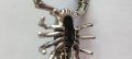 Сребърна висулка - скорпион, снимка 6