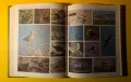 Стара Книга от Поредицата Живота на Животните/ Птиците том 6, снимка 13