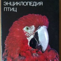 Иллюстрированная енциклопедия птиц  Ян.Ганзак, снимка 1 - Специализирана литература - 38095975
