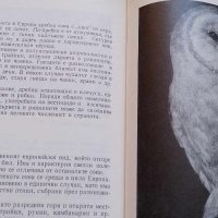 Защитени птици в България - Таню Мичев, Никола Райков, снимка 4 - Специализирана литература - 43093657