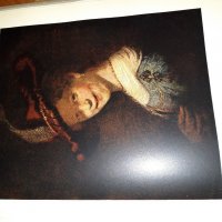 Дрезденска галерия книга с илюстрации, снимка 11 - Антикварни и старинни предмети - 28987501