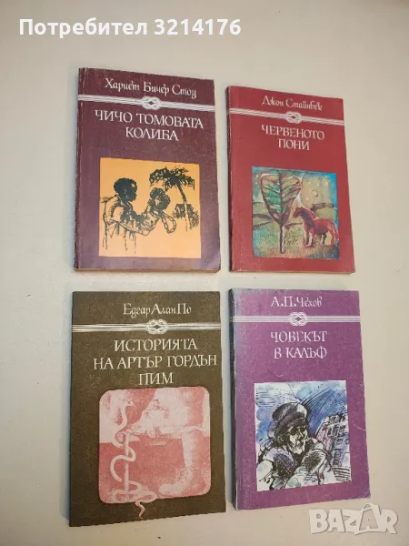 Историята на Артър Гордън Пим - Едгар Алан По, снимка 1