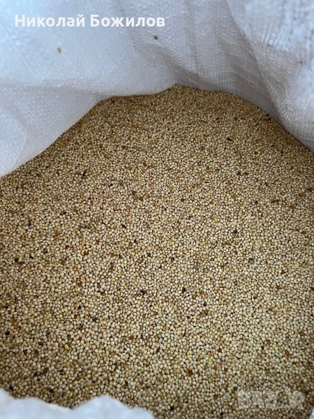 Продавам бяло просо, снимка 1