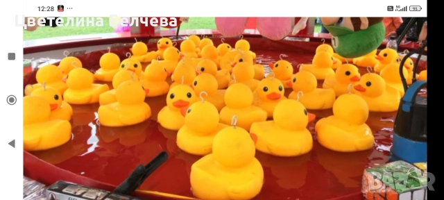 Басейн тава за улови патетата 