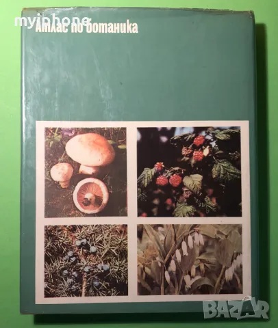 Стара Книга Атлас по Ботаника/Сл.Петров,Е.Паламарев, снимка 13 - Специализирана литература - 49204492
