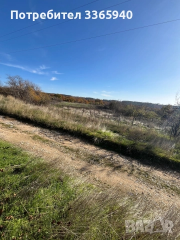 5 дк. Ток, вода. Сонда , снимка 5 - Парцели - 52618314