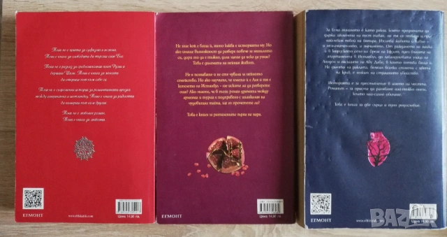 Любов. Копелето на Истанбул. Чест, Елиф Шафак, снимка 2 - Художествена литература - 53185367