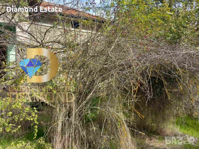 Едноетажна къща с двор в село Трънково, общ. Раднево, снимка 5 - Къщи - 52139851