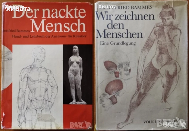 Gottfried Bammes:Der nackte Mensch;Wir zeichnen den Menschen;Учебна рисунка;История на изкуството, снимка 4 - Енциклопедии, справочници - 41524901