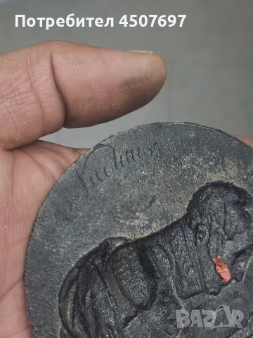 железен медал на РУСКИЯ ИНПЕРАТОР АЛЕКСАНДЪР I, от LEONHARD POSCH 1830г. , снимка 4 - Антикварни и старинни предмети - 53141838