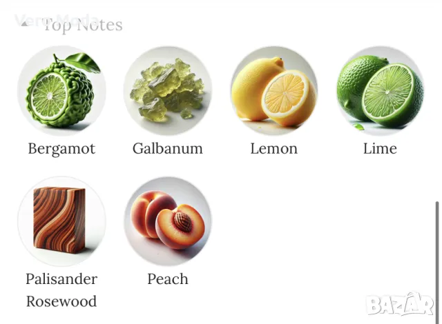 Borsari 1870 Parma Fontana Déco Borsari Arte Eau de Parfum 40ml , снимка 8 - Дамски парфюми - 48103303