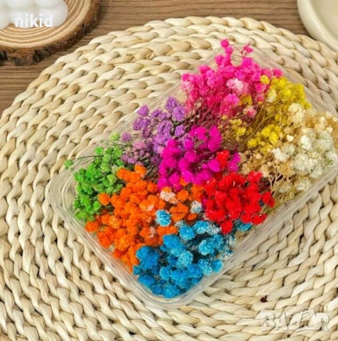 кутия къси клонки ситни цветя Гипсофила Гипсофил цветчета цветенца клонки букет аранжиране бутониери