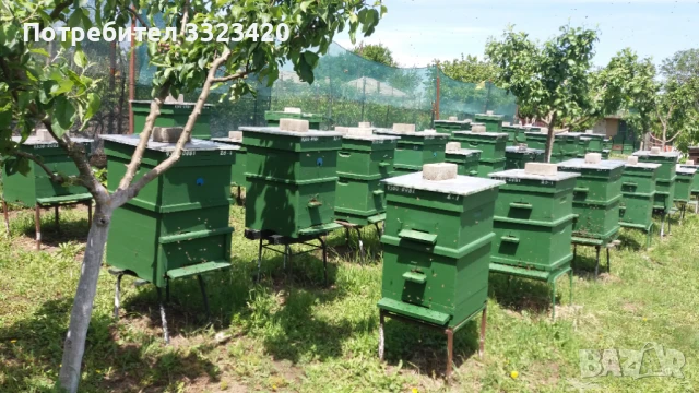  висококачествен натурален пчелен мед, снимка 3 - Пчелни продукти - 51226600