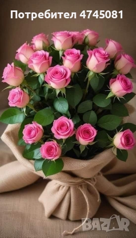 Къща с двор , снимка 12 - Къщи - 53578696