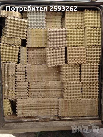 Продавам кори за яйца , снимка 7 - Кокошки и пуйки - 28068248