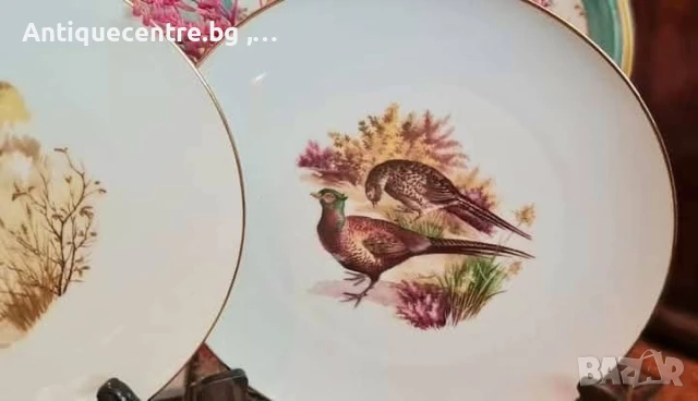 Kuba Porzellan Bavaria ,Germany - Сервиз за хранене с ловни мотиви., снимка 5 - Сервизи - 50940603