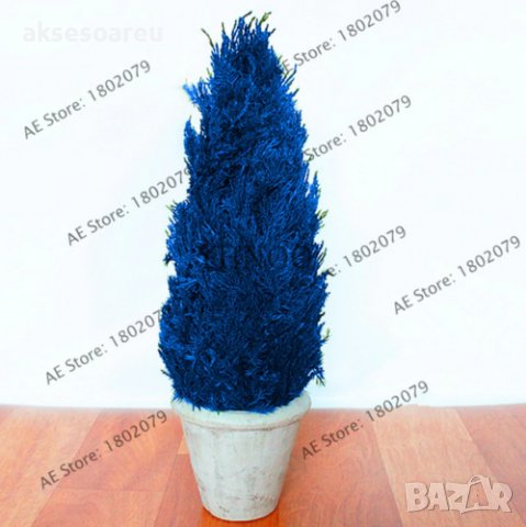 100 бр. семена кипарис синя елха бор сини иглолистни кипарисови дървета бонсай екзотични за декораци, снимка 9 - Сортови семена и луковици - 37707505