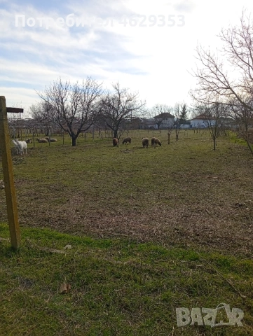 Продажба на имот, снимка 3 - Къщи - 53513958