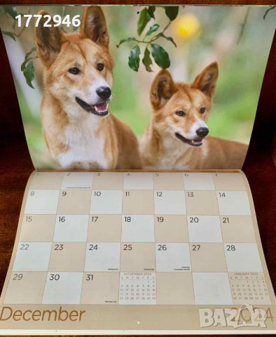 Лот "Австралия": Календар 2024; Портмоне - ключодържател; Несесер; подарък кл-д "Коала", снимка 4 - Други - 43741262