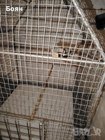 Метална клетка за птиче, снимка 4 - Декорация за дома - 52955752