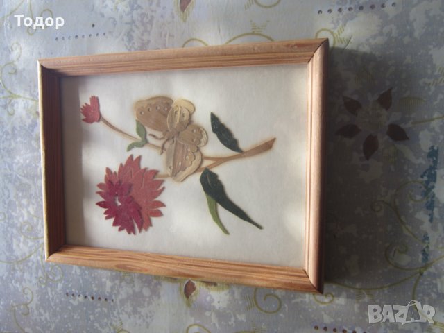 Стара картина Цветя и Пеперуда , снимка 6 - Картини - 27188225
