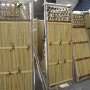100 броя семена от декоративен бамбук Moso Bamboo зелен МОСО БАМБО за декорация и дървесина, снимка 11