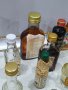 Колекция от миниатюрни бутилки алкохол , снимка 10