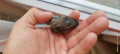 Метеорит , снимка 3