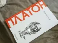 ПЛАТОН 2810241611, снимка 5