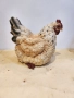 Декоративна кокошка от полирезин, снимка 2